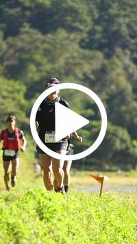 BIB:  <button type="button" onclick="openModal(26577358)" class="btn btn-primary btn-sm float-right" data-toggle="modal" data-target=".modal-high-quality">
                <i class="fa fa-download"></i> Download
                </button>